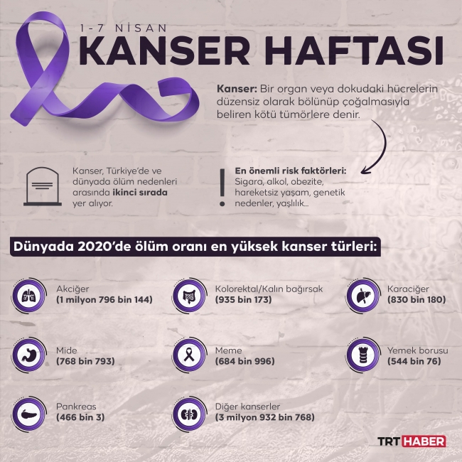 Grafik: TRT Haber I Hafize Yurt